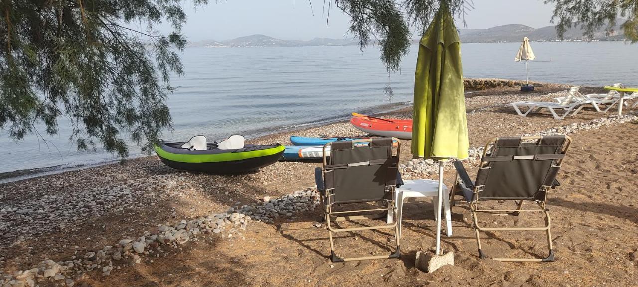 Vikos Beach Apartments Paralia Irion Luaran gambar