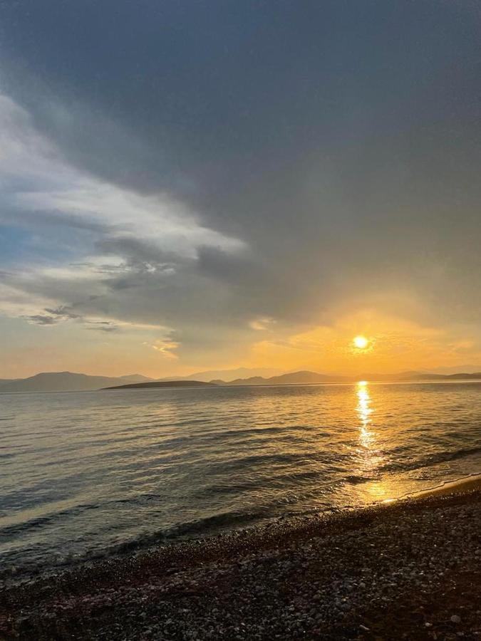 Vikos Beach Apartments Paralia Irion Luaran gambar